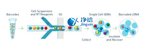 中國人自己的微流控單細(xì)胞測序儀來了！_微流控Drop-seq,微流控技術(shù)