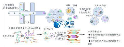 中國人自己的微流控單細(xì)胞測序儀來了！_微流控Drop-seq