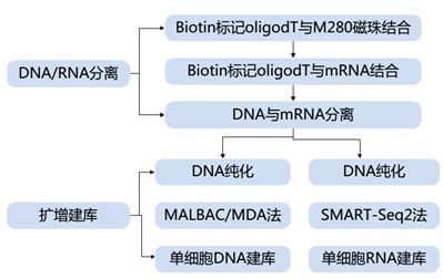 單細胞轉錄組測序的方法原理及應用