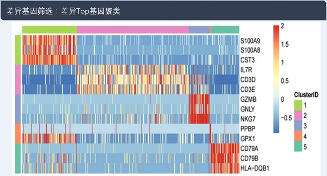 單細胞轉(zhuǎn)錄組測序(10x Genomics)詳解